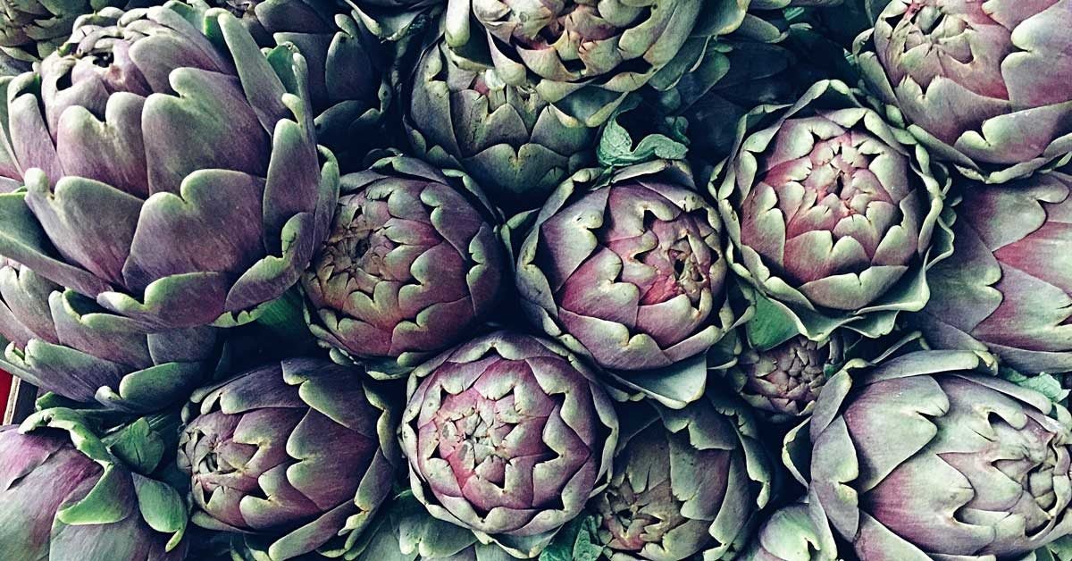 the most popular uses for artichoke plant