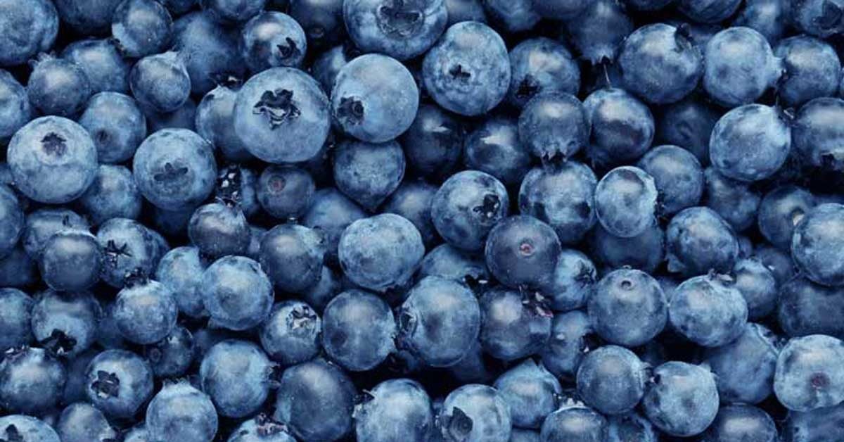 blueberries-1200x628-facebook-1200x628.j