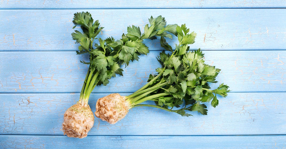 Celeriac Celery Root Nutrition Benefits And Uses