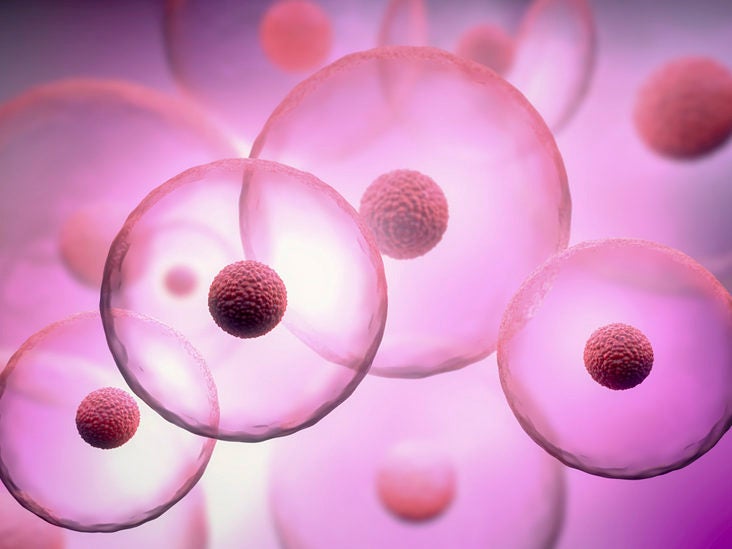 Cell Signaling and Communication - Healing Tao Australia. Transparent human cells on a pink background