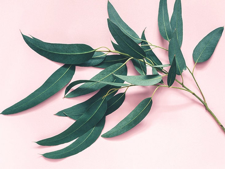 9 Amazing Eucalyptus Benefits You Need to Know