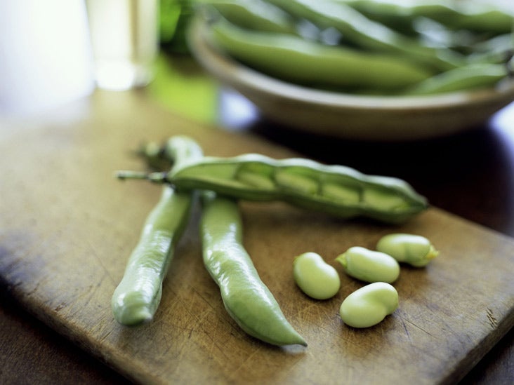 can dogs eat broad beans
