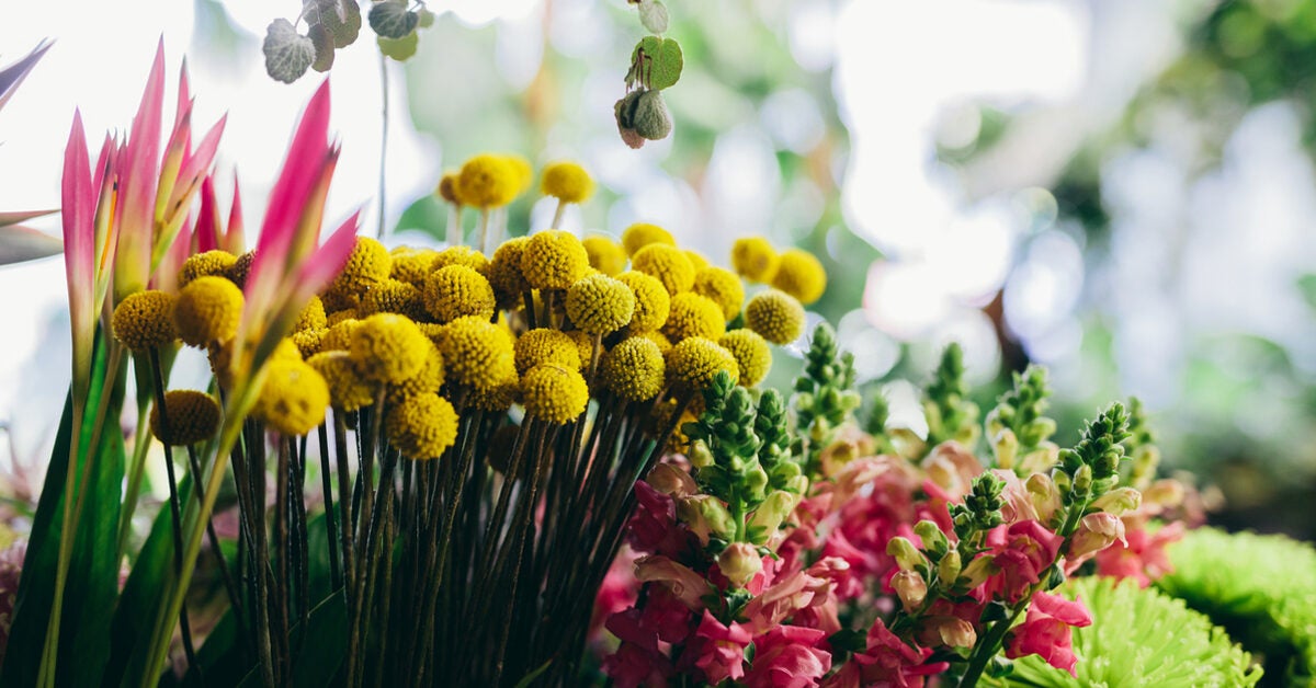Anthophobia What You Need To Know About A Fear Of Flowers