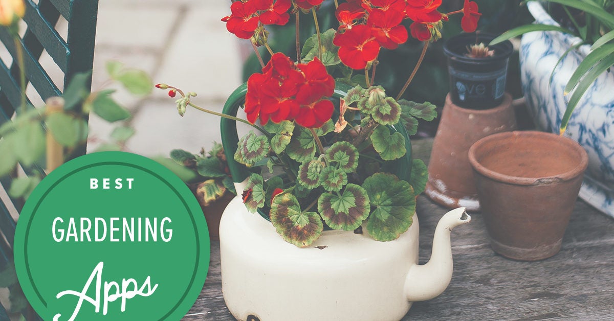 The Best Gardening Blogs Of 2017