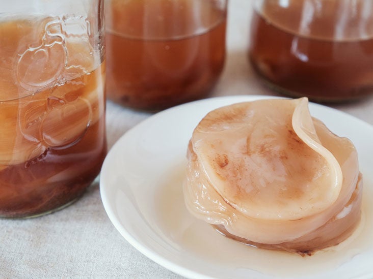 Kombucha Scoby: What It Is And How To Make One