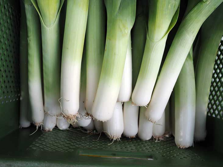 What Are Leeks and Wild Ramps? 10 Impressive Benefits