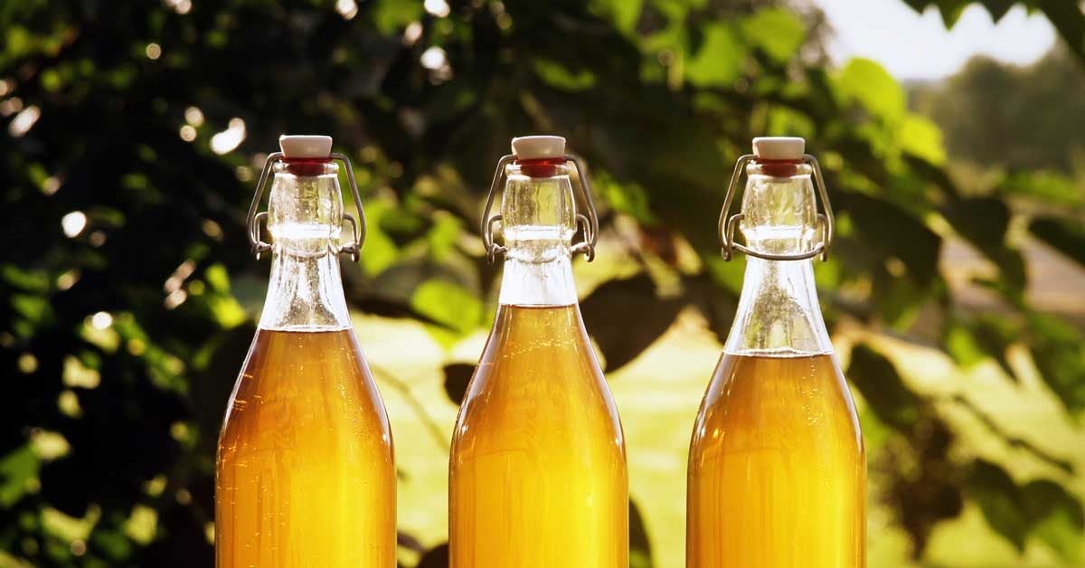 Easy Tips for the Best Way to Drink Mead 2023 AtOnce