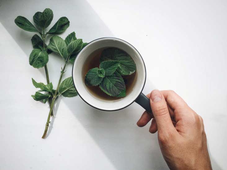 8 Health Benefits of Mint