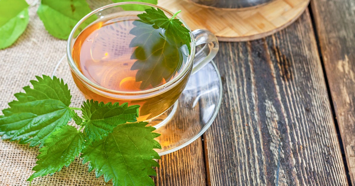 Nettle Tea 4 Health Benefits, How to Make Your Own, and a Warning