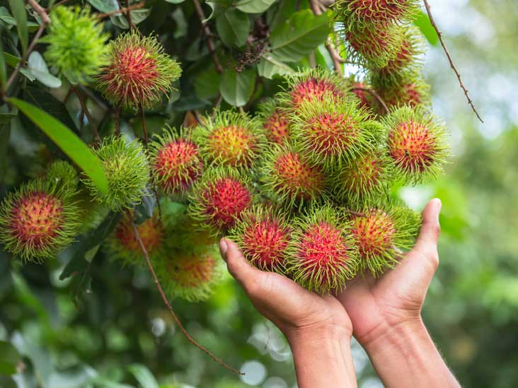 Rambutan Fruit Nutrition Health Benefits And How To Eat It