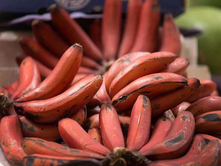 sjækel arv Forhøre 7 Red Banana Benefits (And How They Differ From Yellow Ones)