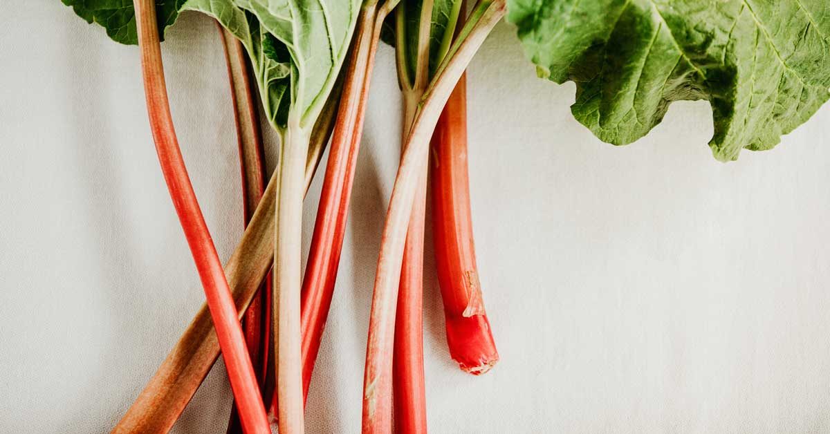 Rhubarb Nutrition Benefits And More
