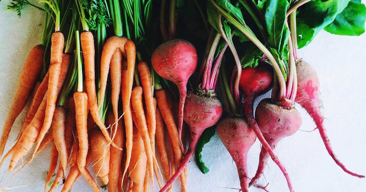 Image of root vegetables, such as carrots, beets, and radishes