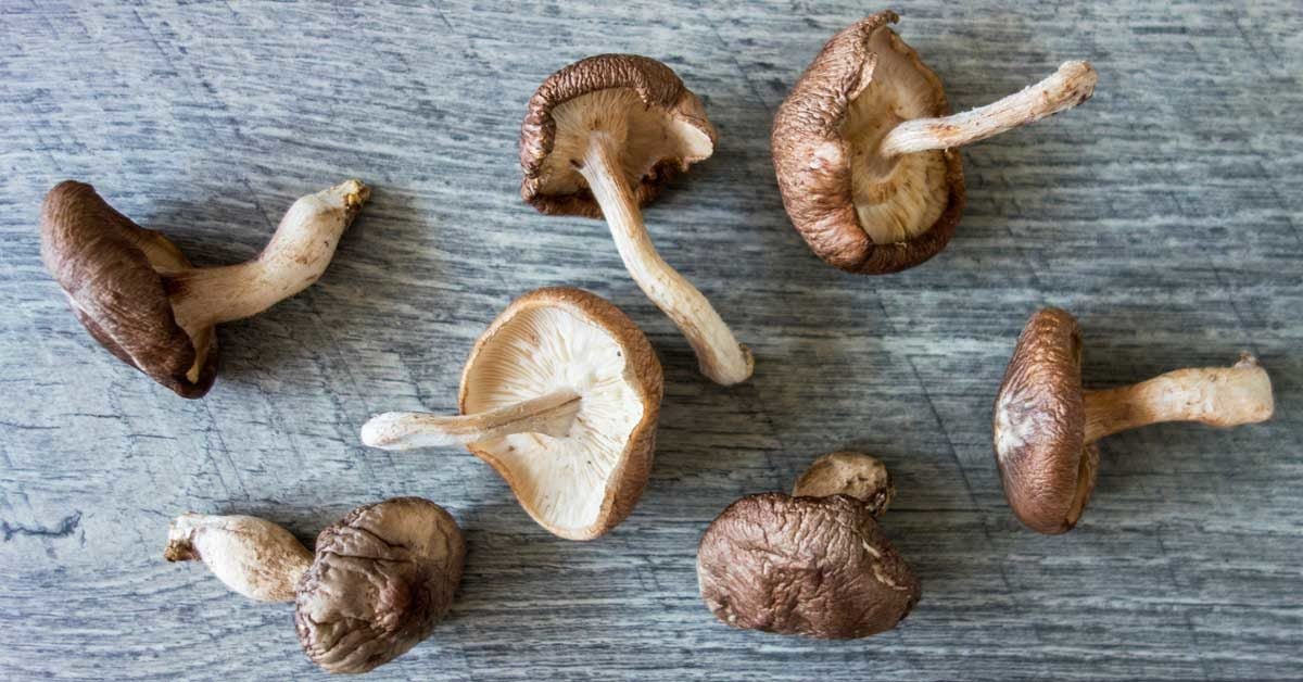 hpv cure mushroom