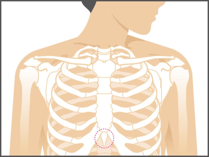 Picture Of What Is Under Your Rib Cage : Rib Cage And ...