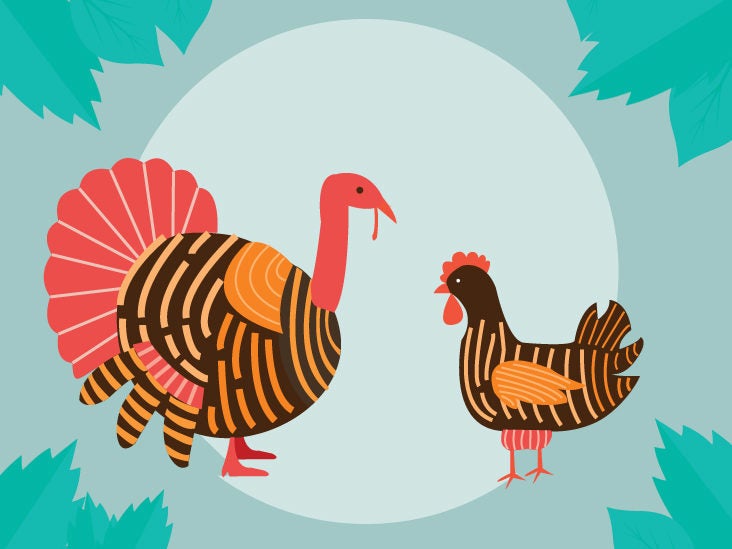 Turkey vs Chicken: Which Has More Protein?