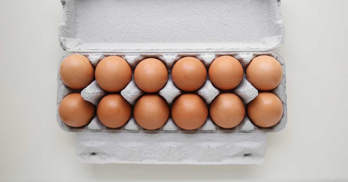 Why Are Eggs Good for You? An EggCeptional Superfood
