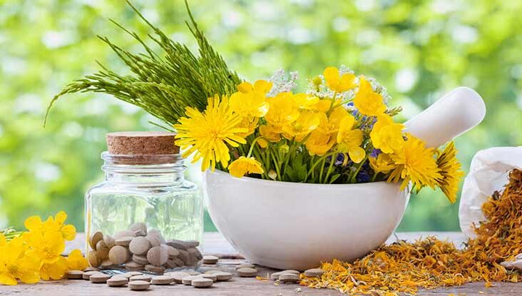 9 Popular Herbal Medicines: Benefits and Uses