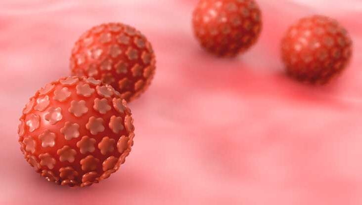 hpv virus without warts