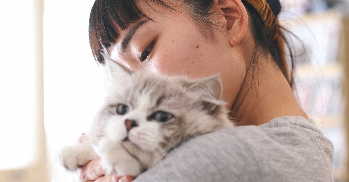 Can You Get Eczema from Cats? Causes, Treatments, and More