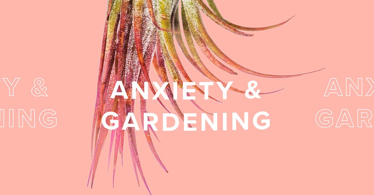 How Gardening Helps My Anxiety and 4 Steps to Get Started