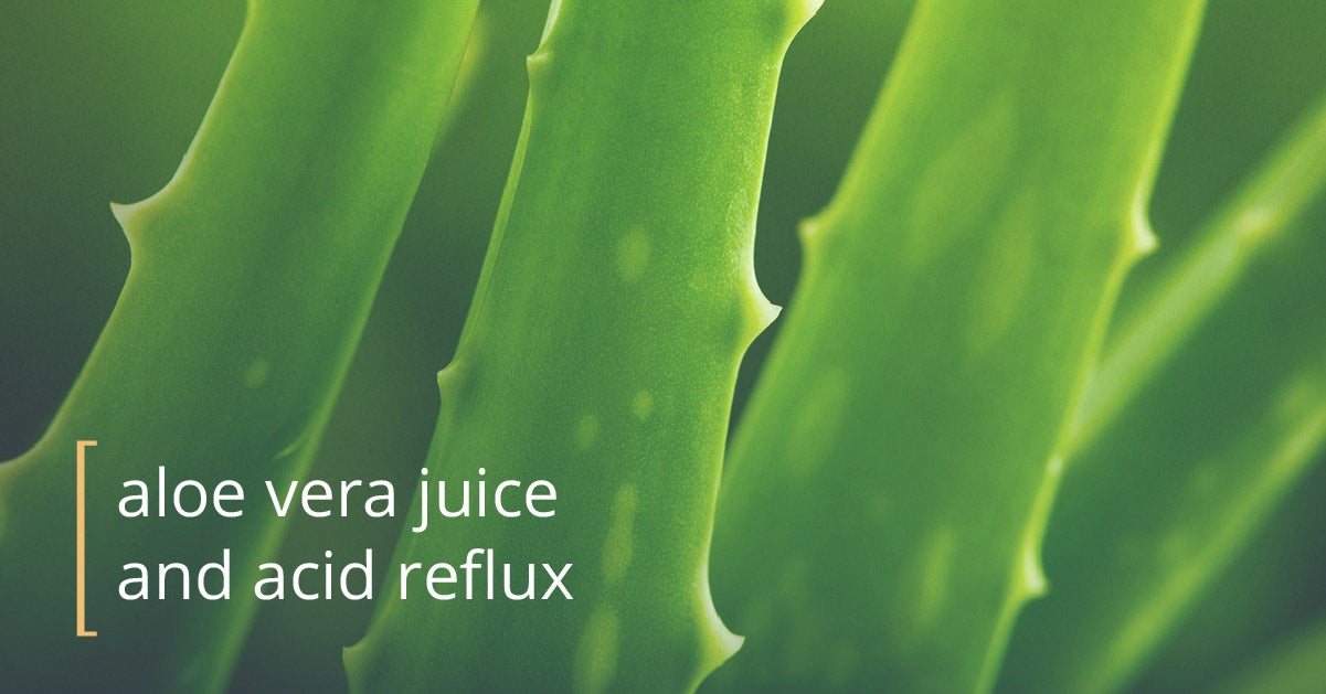Does Aloe Vera Juice Help Acid Reflux? 