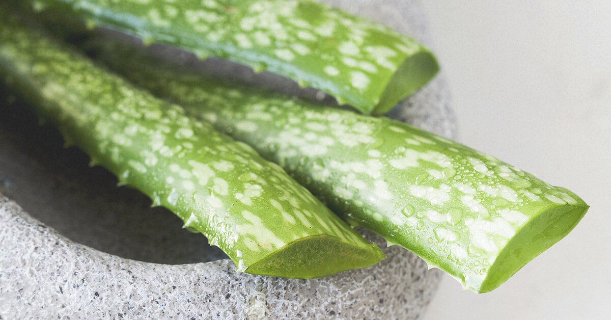 Aloe Vera for Acne: 7 to Get Rid of Pimples