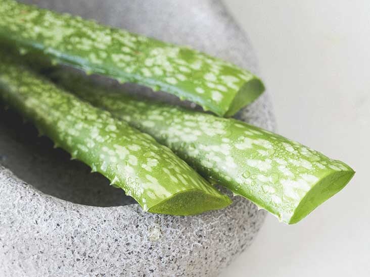 Cable Deficiencia Restringido Aloe Vera Toxic Musical Isla Stewart Envolver
