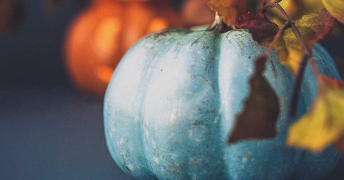 Teal Pumpkins on Halloween Teal Pumpkins on Halloween
