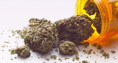 Hepatitis C and Marijuana: Is This Treatment Effective?