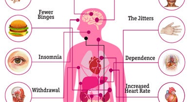 The Effects of the Body