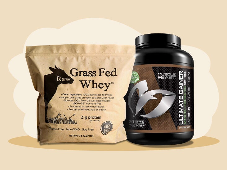 The Best Whey Protein 