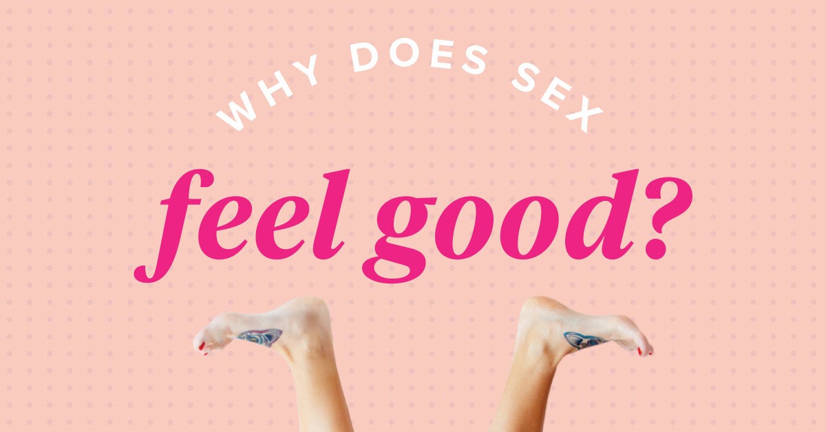 why-does-sex-feel-good-for-men-and-women