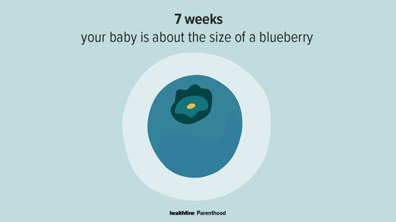 Briesje Bestaan Kinderen 7 Weeks Pregnant: Symptoms, Tips, and More