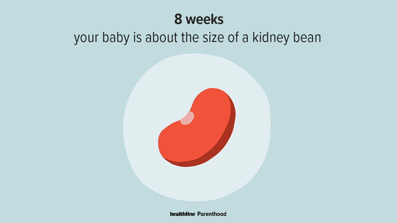 8 Weeks Pregnant: Symptoms and Baby Development