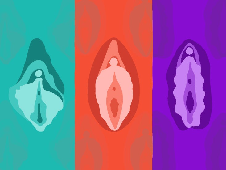 Different Shapes Of Pussy