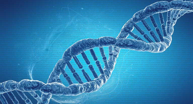 CRISPR Gene Editing: New Uses