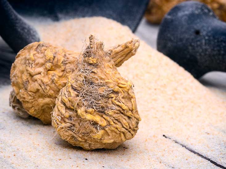 9 Benefits Of Maca Root And Potential Side Effects 