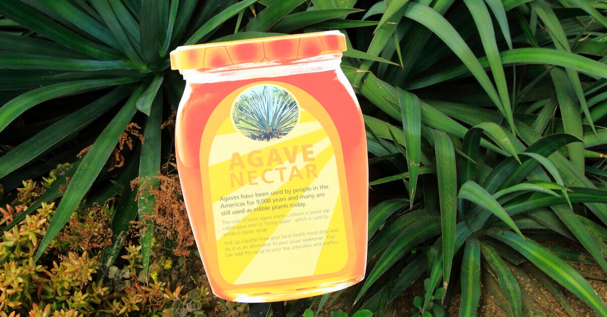 Agave Syrup as a DiabetesFriendly Sugar Substitute?