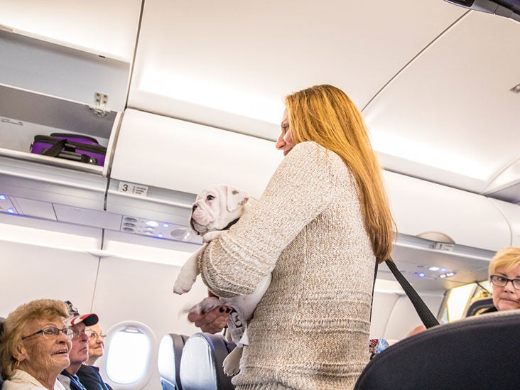 Food Safety On Airlines