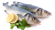 Why Men Should Avoid Fish Oil Supplements