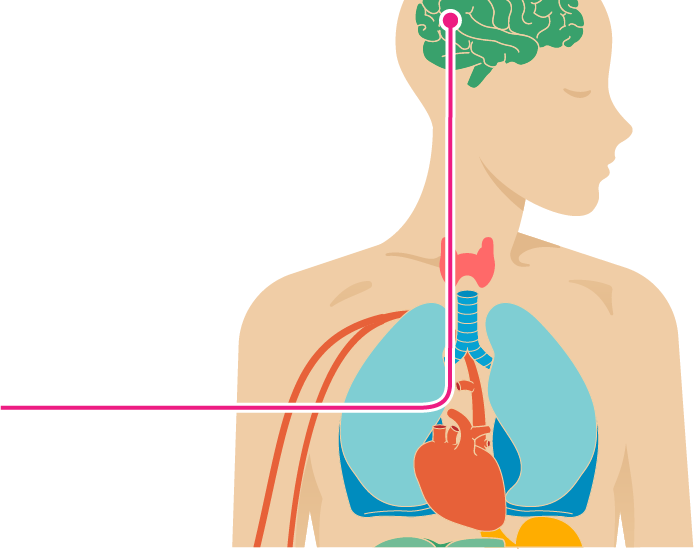 type 2 diabetes and heart palpitations