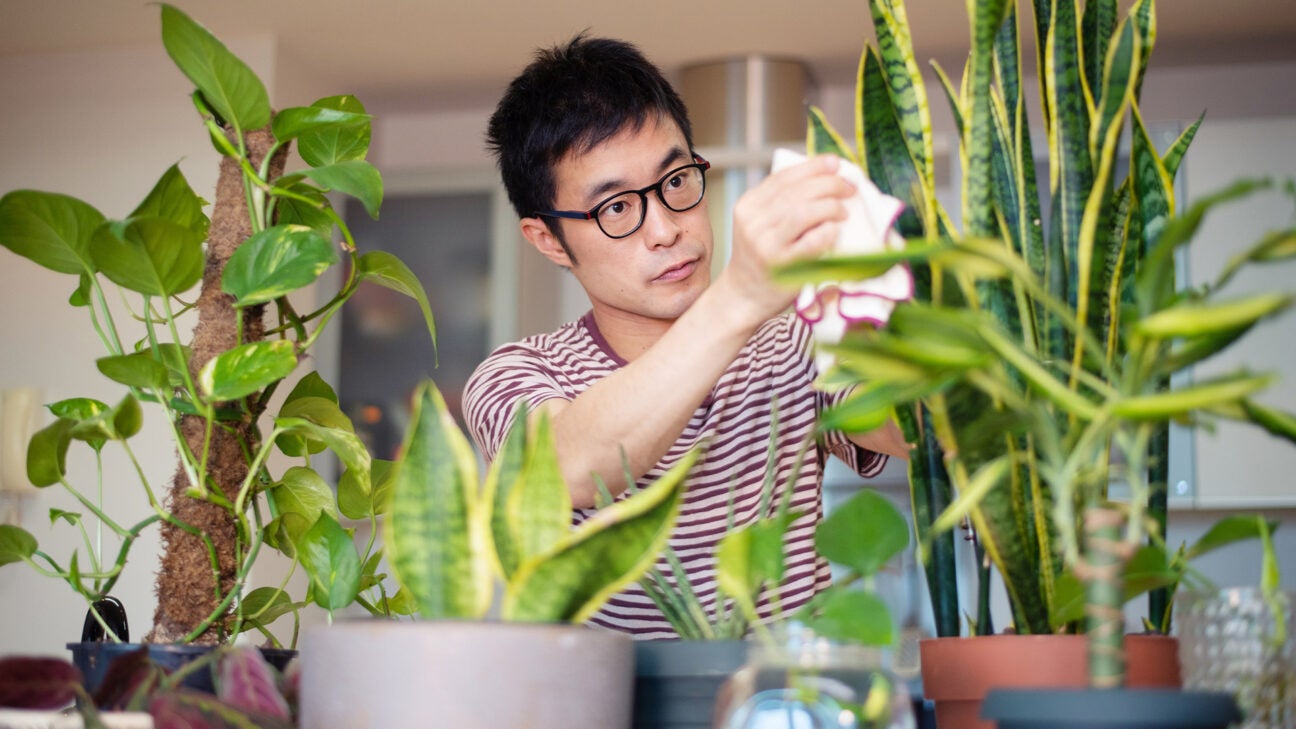 7 Science-Backed Benefits of Indoor Plants