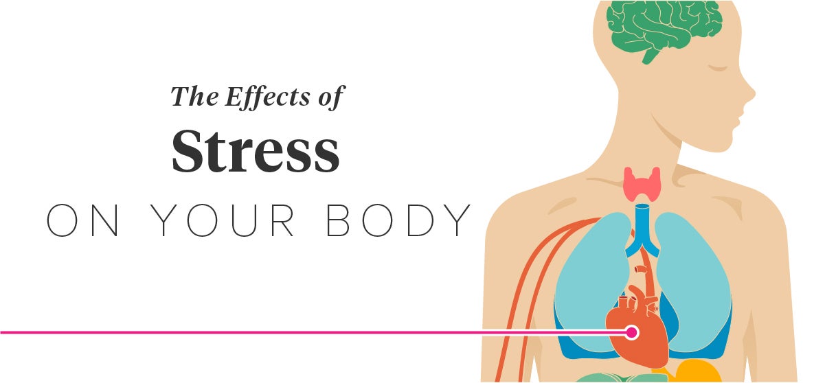 The Effects of Stress on Your Body