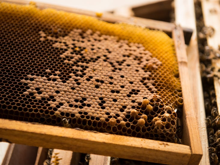 Is Beeswax Vegan 