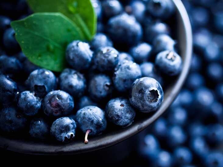 are blueberries good for dogs with kidney disease