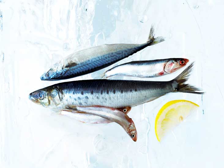 12 Health Benefits of DHA (Docosahexaenoic Acid)