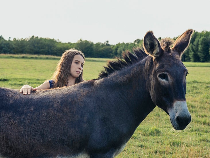 Donkey Milk: Benefits, Uses, and Downsides