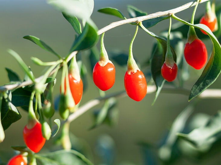 What are Goji Berries? This Unique Red Fruit, Explained
