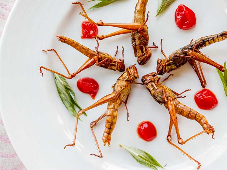 Edible Insects Superfood Diet